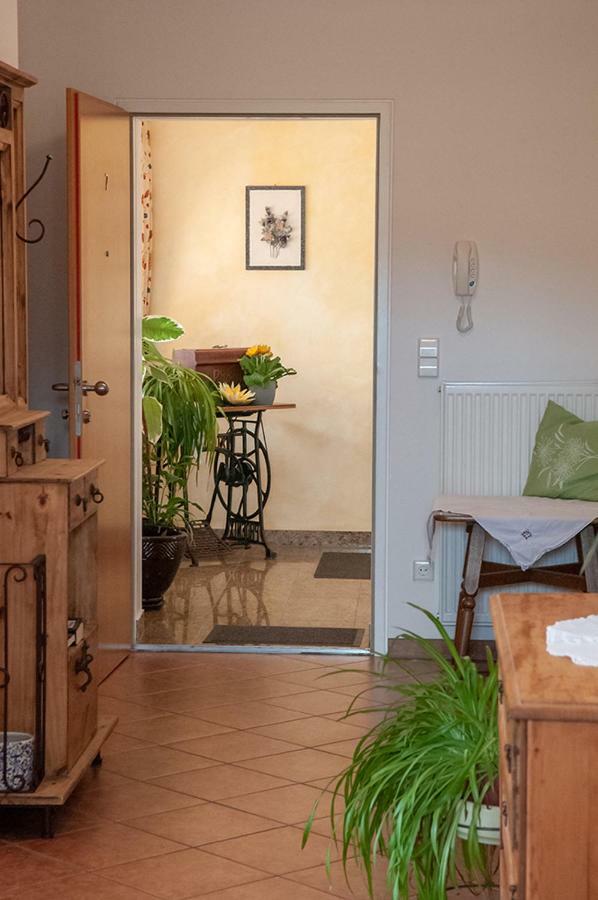Pension Hiesel-Villa Untersbergblick Anthering Exterior foto